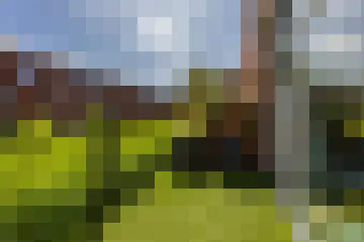 Korreweg 213 53 Groningen thumbnail 22