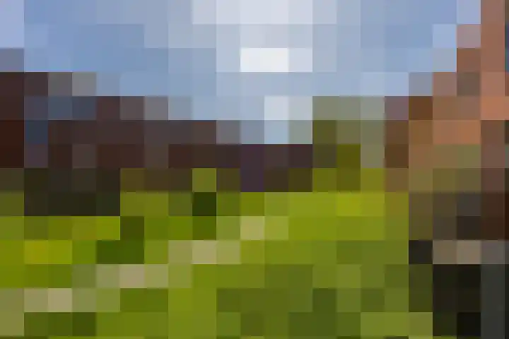 Korreweg 213 53 Groningen thumbnail 24