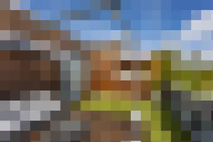 Korreweg 213 53 Groningen thumbnail 43