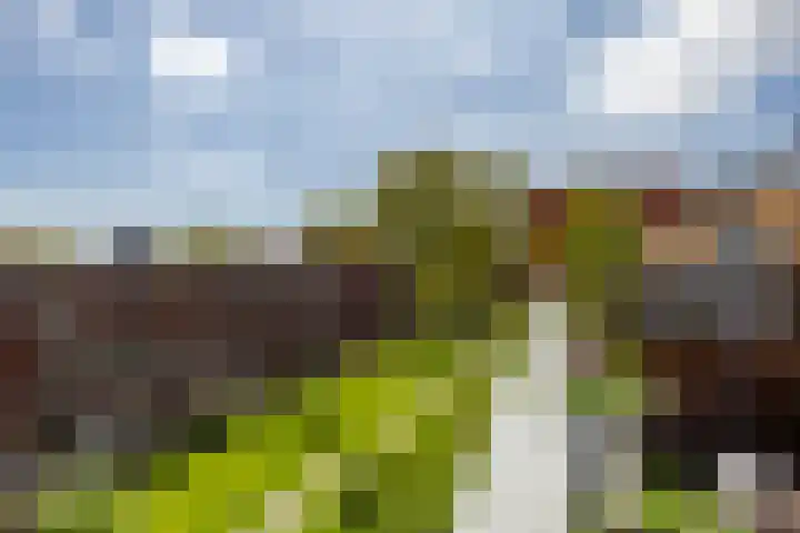 Korreweg 213 53 Groningen thumbnail 44