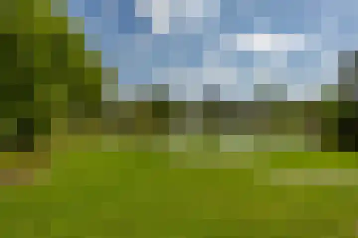 Korreweg 213 53 Groningen thumbnail 55