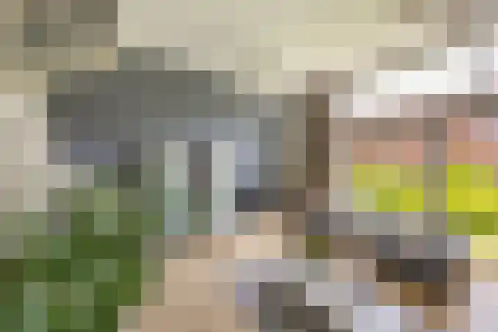 Korreweg 213 53 Groningen thumbnail 57