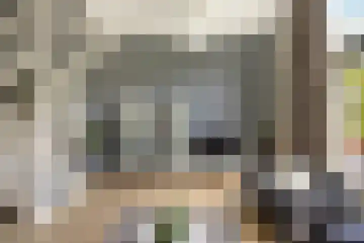 Korreweg 213 53 Groningen thumbnail 58