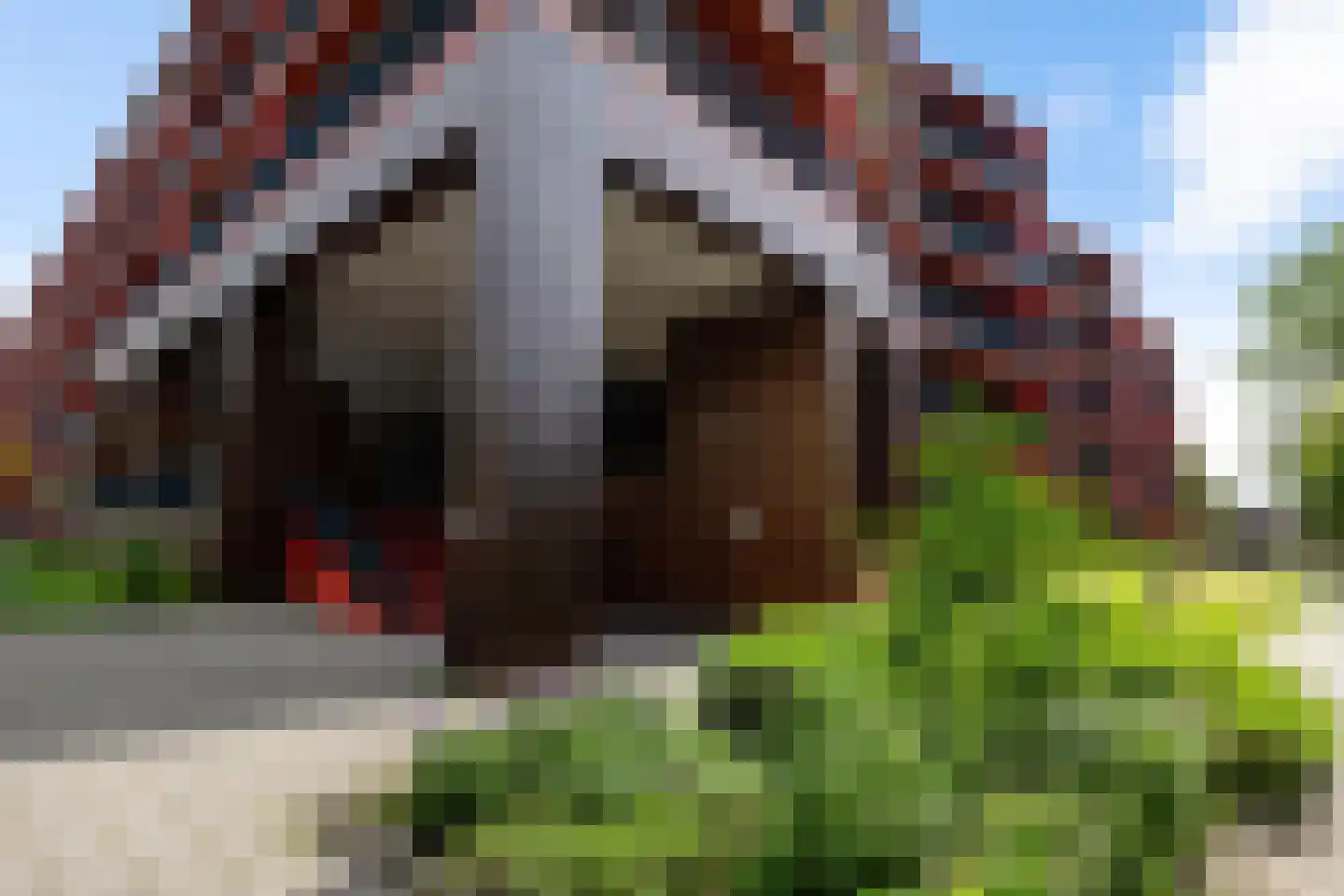 Korreweg 213 57 Groningen thumbnail 38