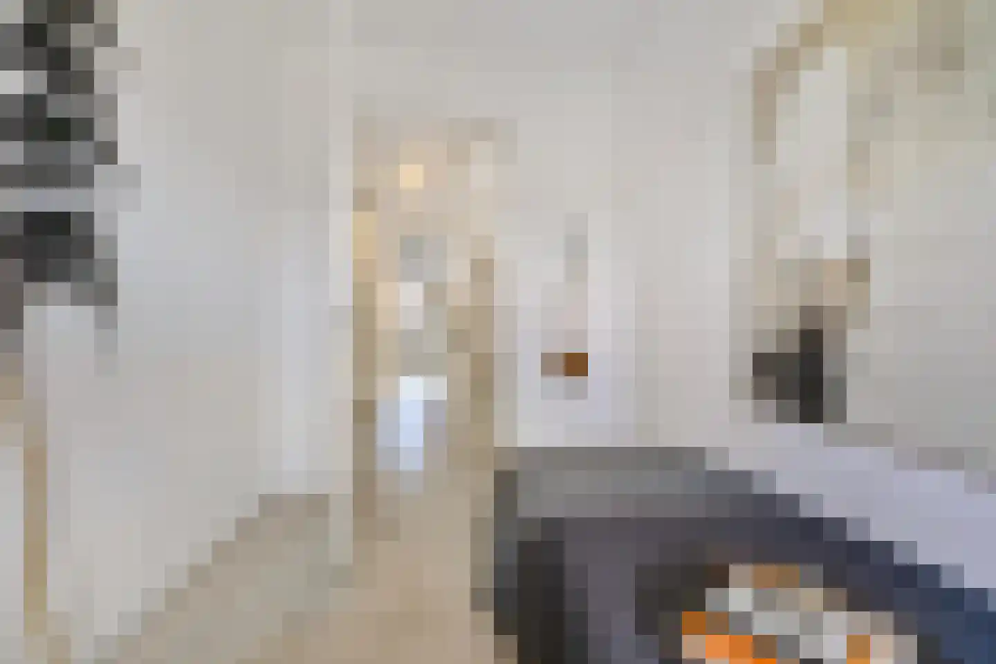 Korreweg 213 58 Groningen thumbnail 19