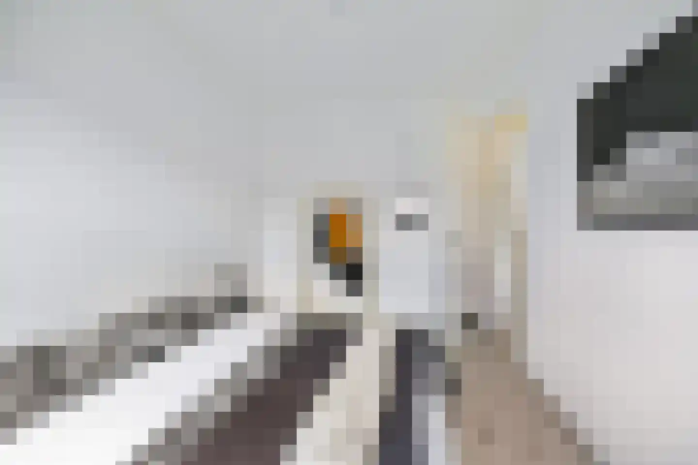 Korreweg 213 58 Groningen thumbnail 22