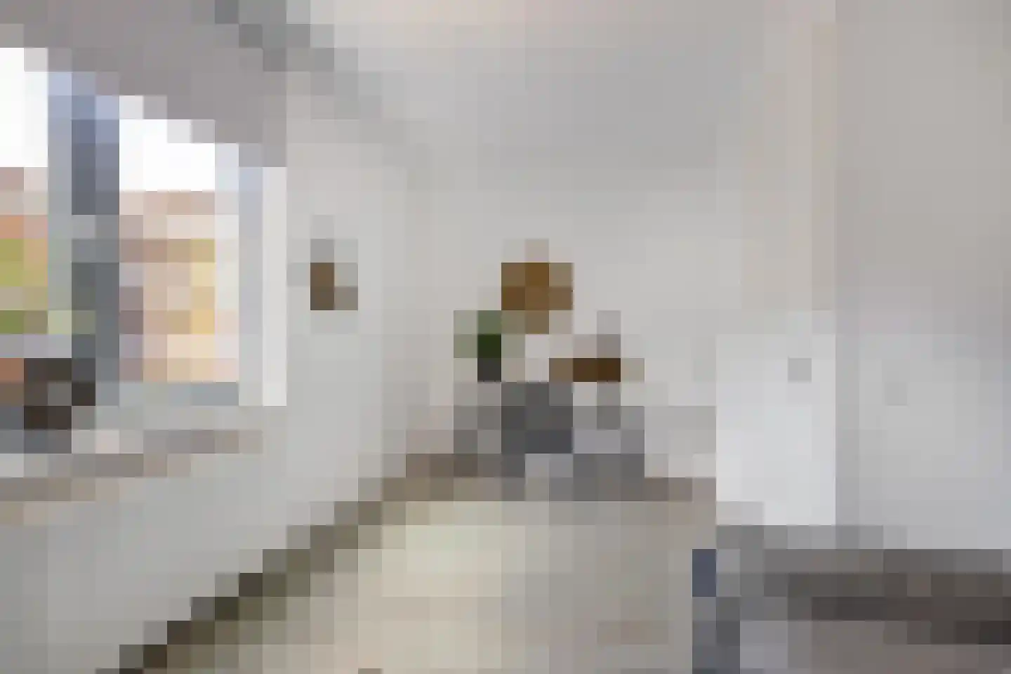 Korreweg 213 58 Groningen thumbnail 26