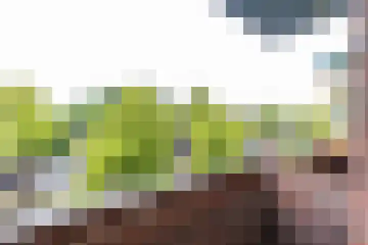 Korreweg 218 a Groningen thumbnail 15