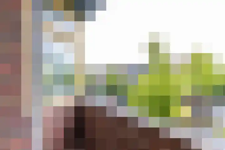 Korreweg 218 a Groningen thumbnail 16