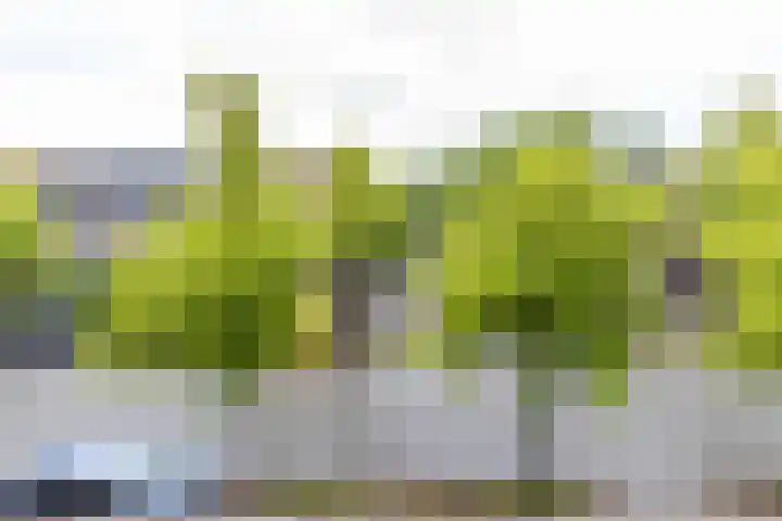 Korreweg 218 a Groningen thumbnail 17
