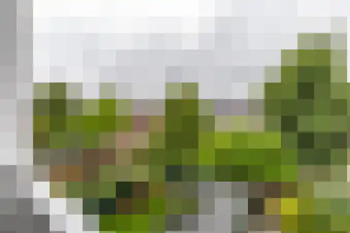 Korreweg 218 a Groningen thumbnail 28