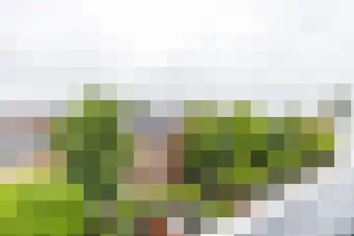 Korreweg 218 a Groningen thumbnail 33