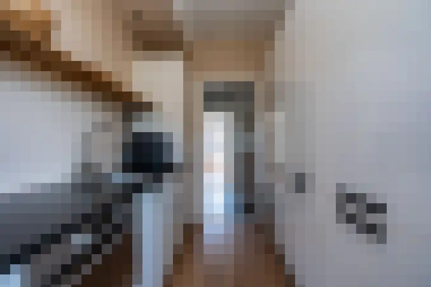 Korreweg 226 a Groningen thumbnail 18