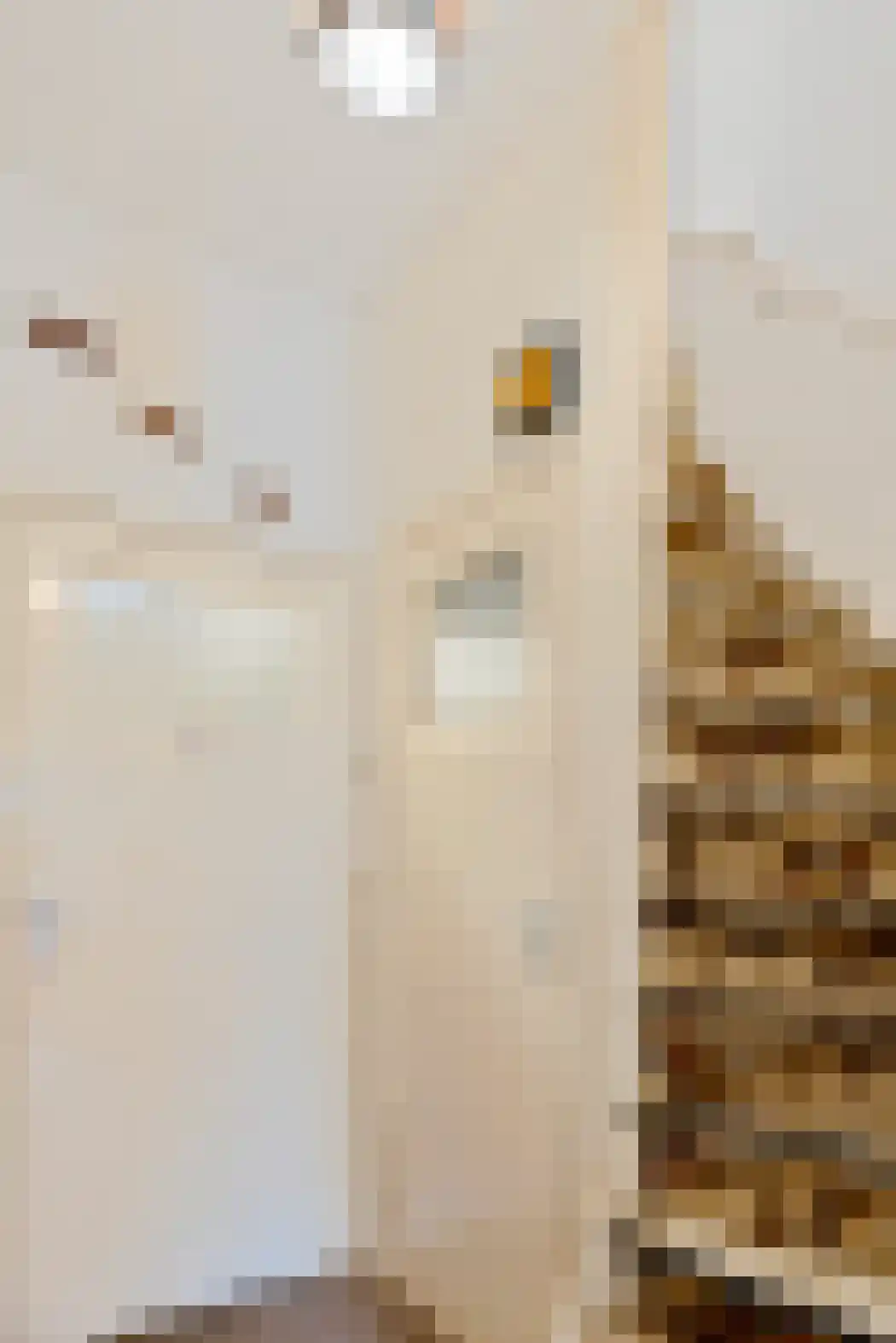 Korreweg 226 Groningen thumbnail 11