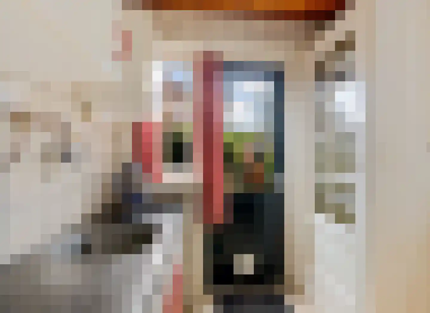 Korreweg 226 Groningen thumbnail 22