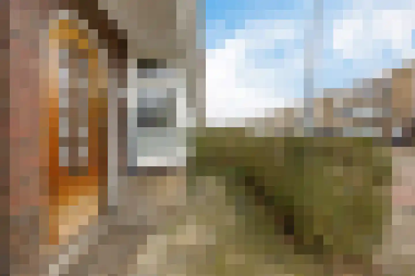 Korreweg 226 Groningen thumbnail 4