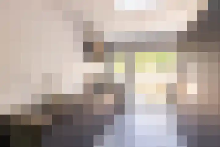 Korreweg 242 Groningen thumbnail 16