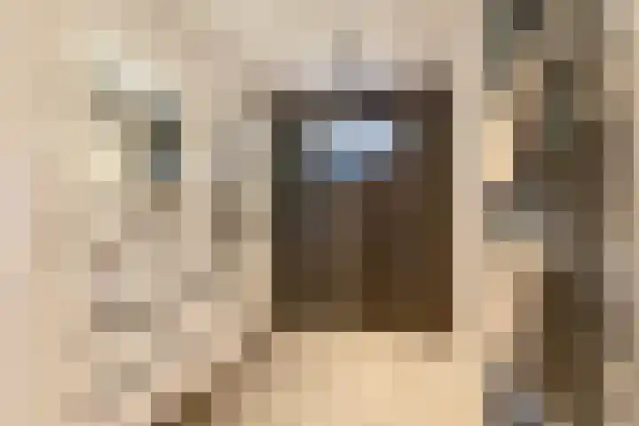 Korreweg 242 Groningen thumbnail 22