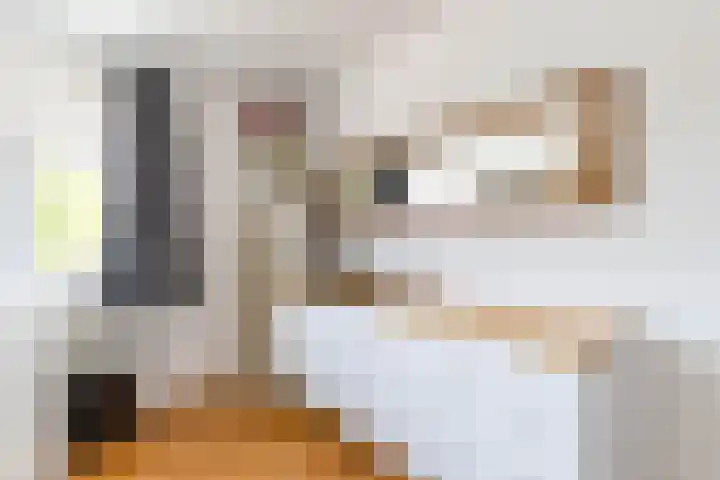Korreweg 242 Groningen thumbnail 28