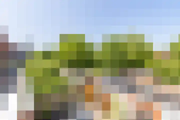 Korreweg 242 Groningen thumbnail 39