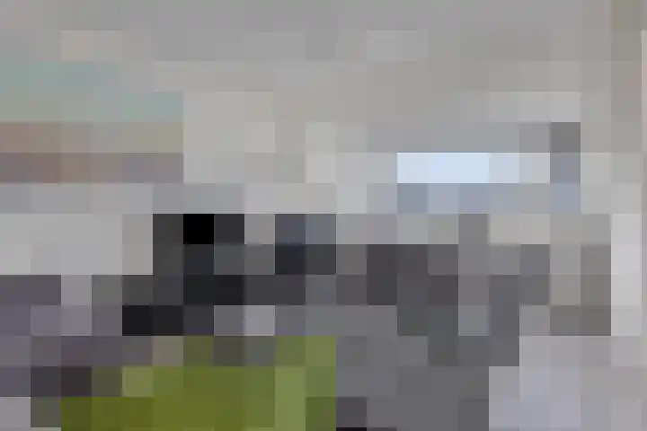 Korreweg 266 a Groningen thumbnail 11