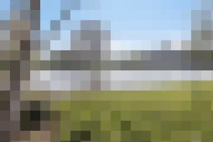 Korreweg 266 a Groningen thumbnail 18