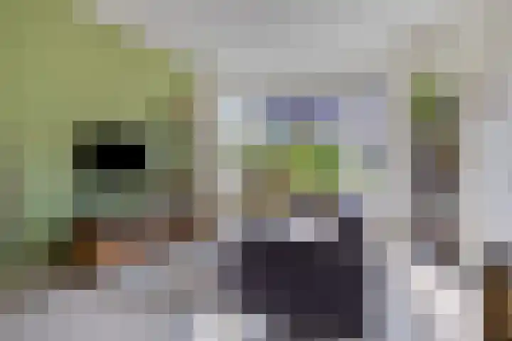 Korreweg 266 Groningen thumbnail 5