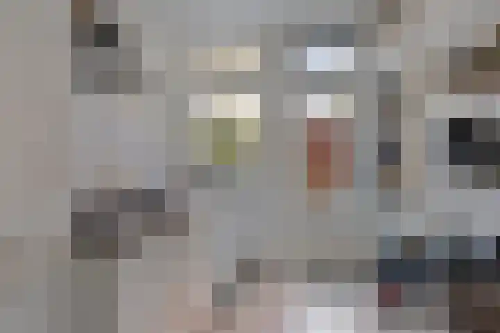Korreweg 266 Groningen thumbnail 8