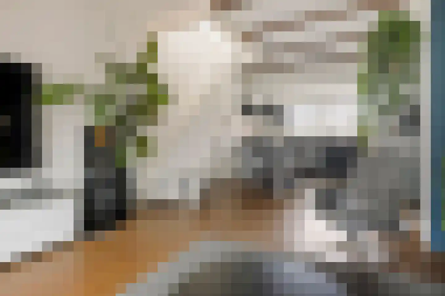 Korreweg 45 Groningen thumbnail 28