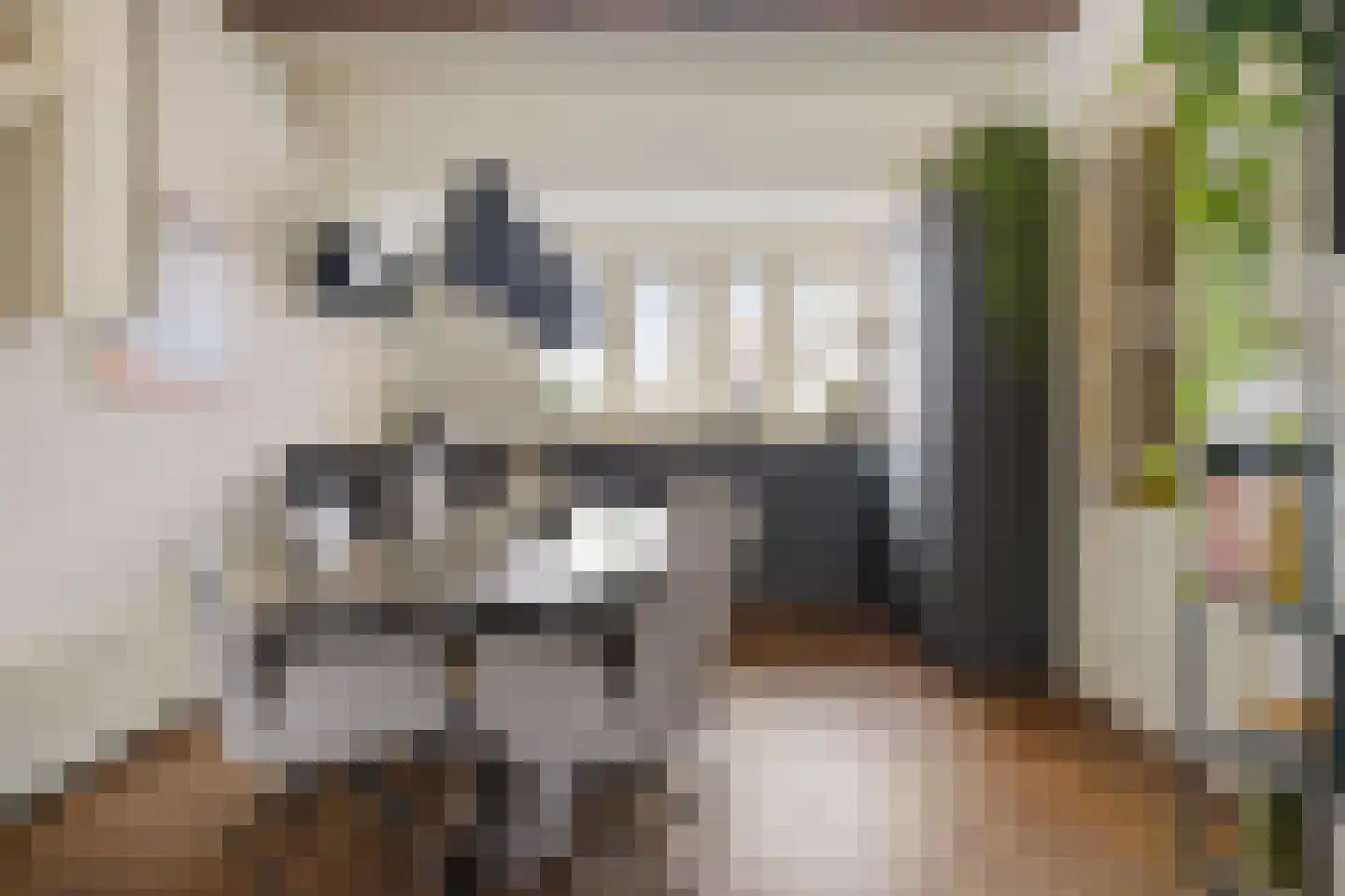 Korreweg 45 Groningen thumbnail 29