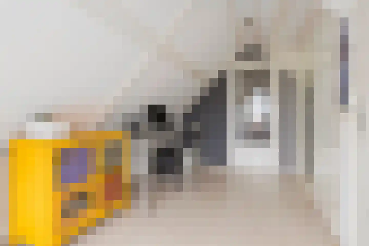Korreweg 45 Groningen thumbnail 35