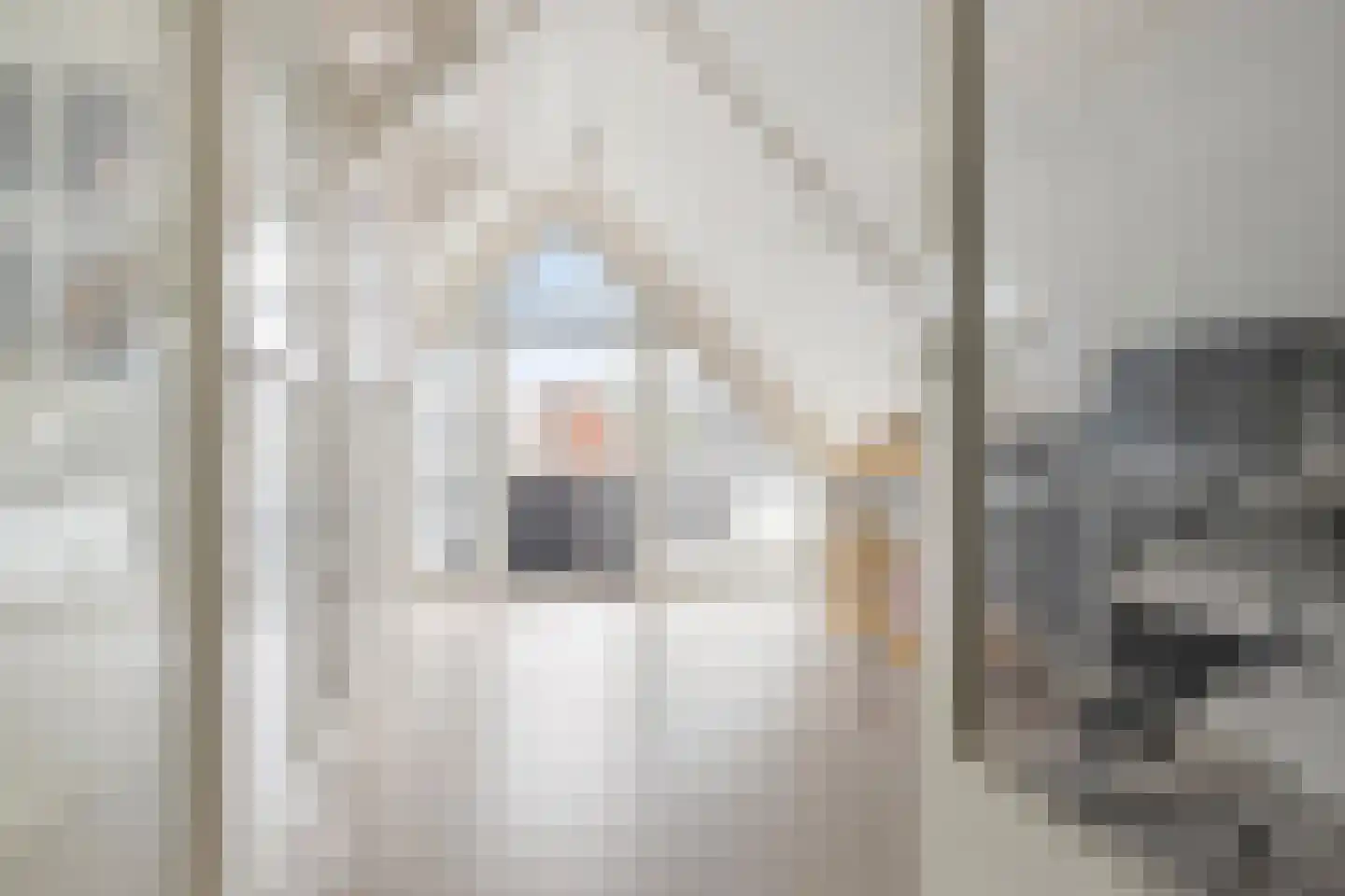 Korreweg 45 Groningen thumbnail 36