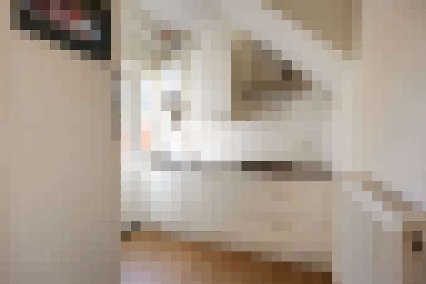 Korreweg 67 Groningen thumbnail 21