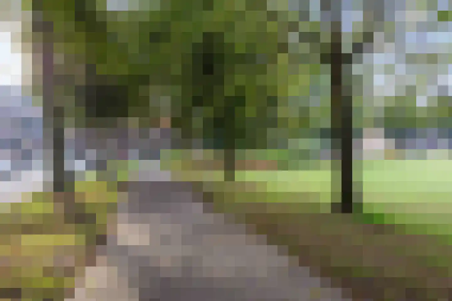 Korreweg 67 Groningen thumbnail 42