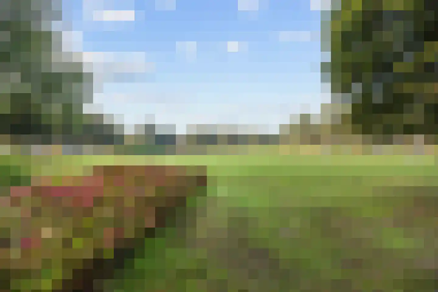 Korreweg 67 Groningen thumbnail 43