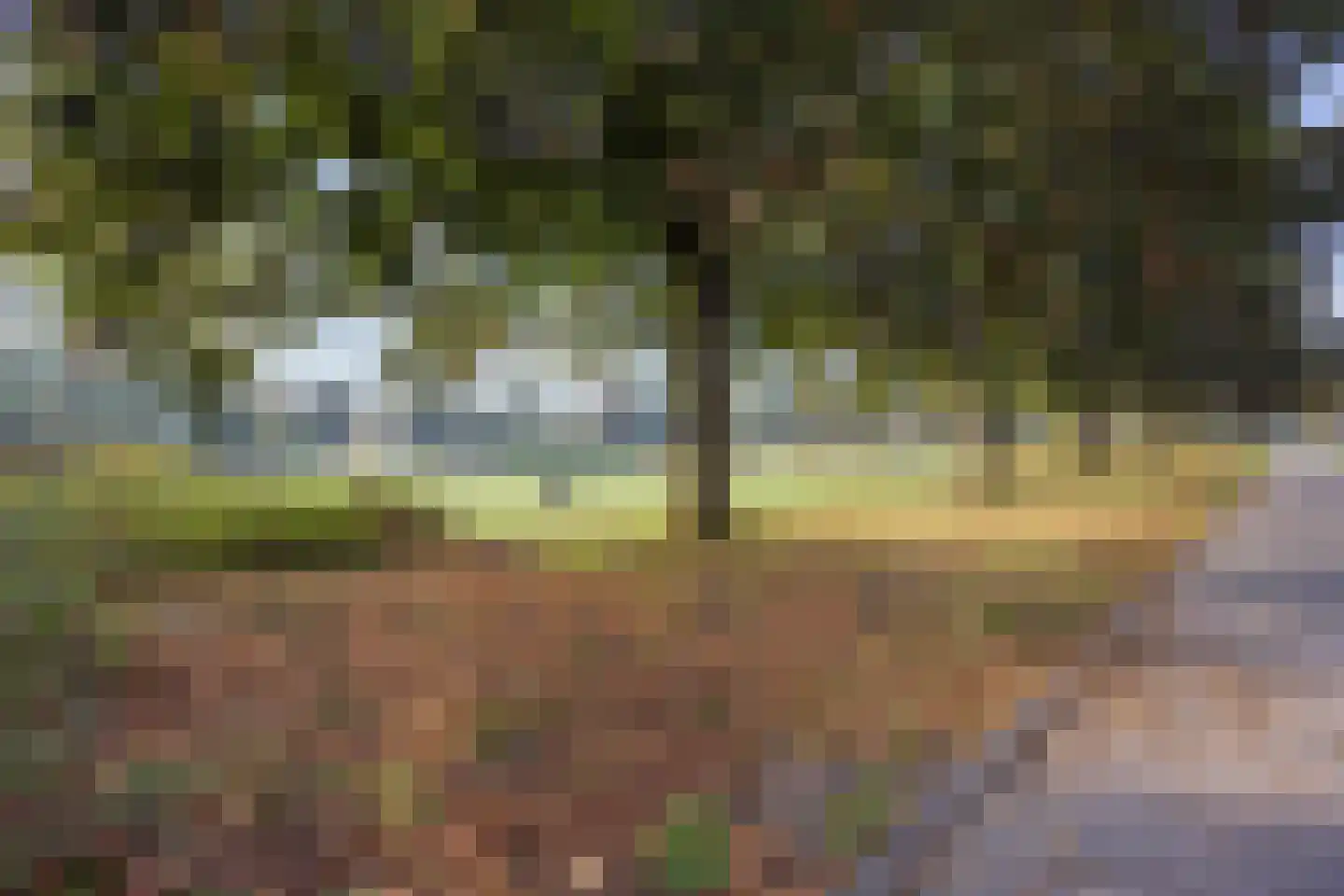 Korreweg 67 Groningen thumbnail 8