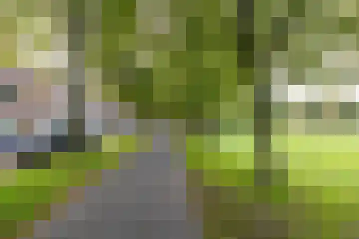Korreweg 85 a Groningen thumbnail 19