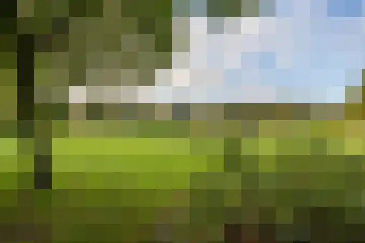Korreweg 85 a Groningen thumbnail 20