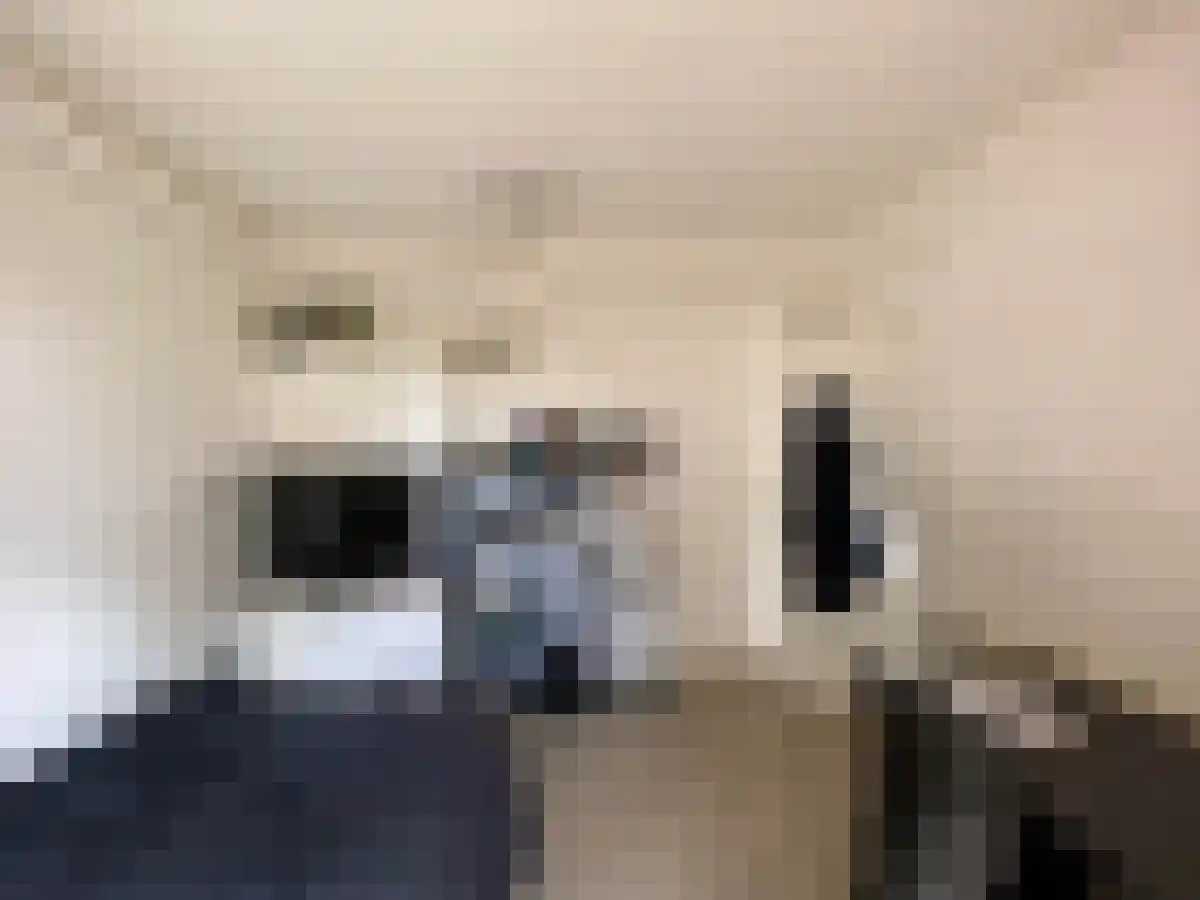 Korreweg Groningen thumbnail 4