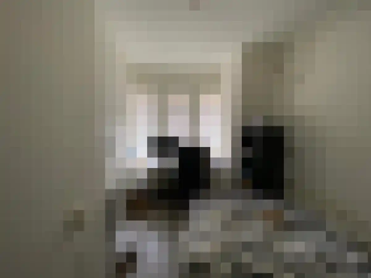 Korreweg Groningen thumbnail 5