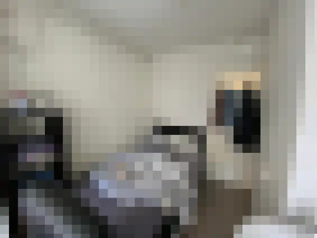 Korreweg Groningen thumbnail 6