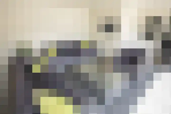 Logo Korse Makelaars