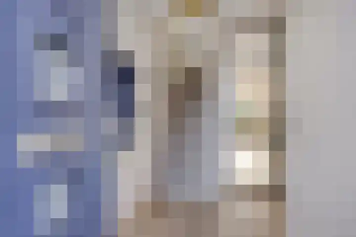Korsebogerd 2 Lienden thumbnail 10