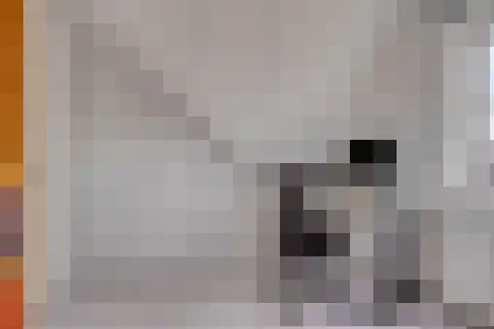 Korsebogerd 2 Lienden thumbnail 38