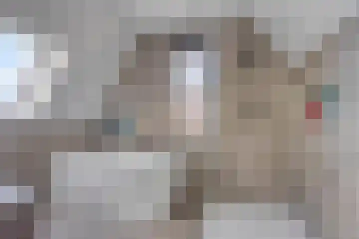 Korsebogerd 2 Lienden thumbnail 39