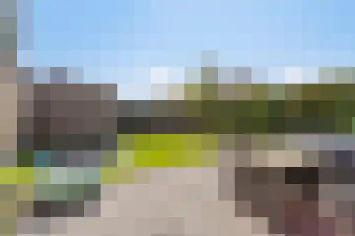Korsebogerd 2 Lienden thumbnail 44