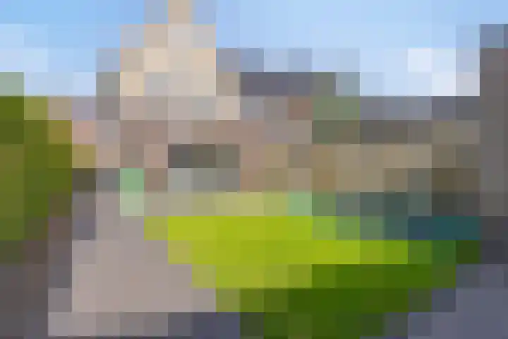 Korsebogerd 2 Lienden thumbnail 46