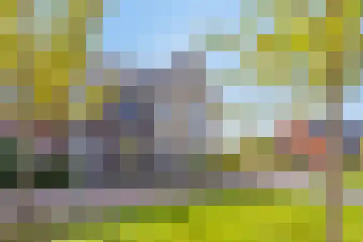 Korsebogerd 2 Lienden thumbnail 5
