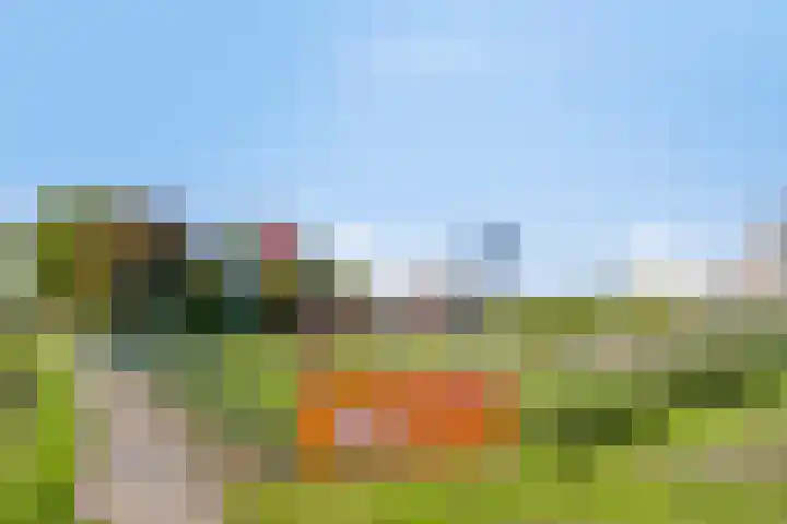 Korsebogerd 2 Lienden thumbnail 52