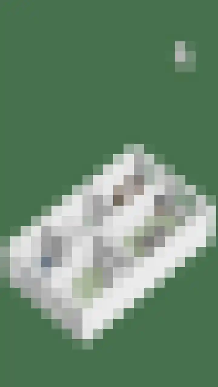 Korsebogerd 2 Lienden thumbnail 64